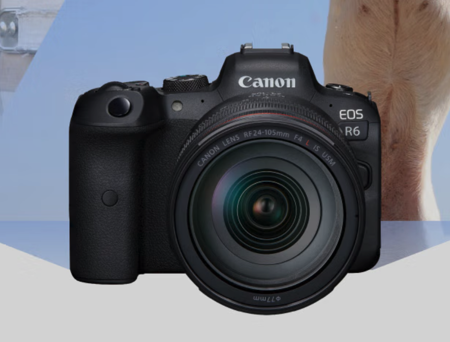 消息称佳能下月发布 EOS R6 II 相机，还有 RF 135mm f1.8 镜头