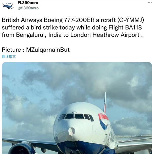 英国王后所乘飞机遭意外撞击：从印度返回 着陆时遭鸟撞机头受损
