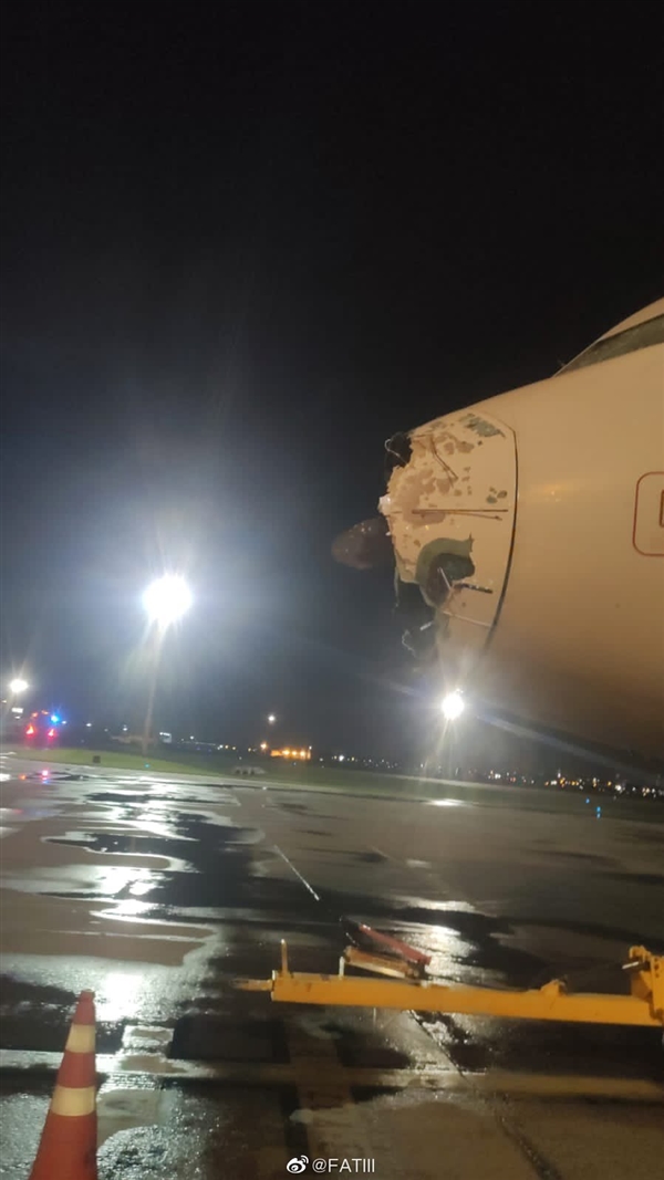 巴拉圭一客机遭遇强风暴：冰雹击碎机头成功紧急迫降