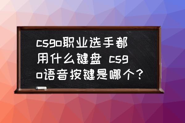 csgo职业选手都用什么键盘 csgo语音按键是哪个？