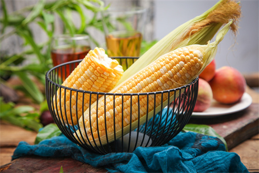 今日玉米最新价格多少钱一斤？近期价格行情如何？