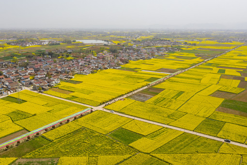 2024年陕西省省级示范家庭农场申报-摄图网