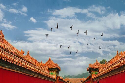 北京大红门将划定48个主导功能分区-摄图网