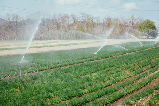 2024年贺兰县农业用水精准补贴和节水奖励标准-摄图网