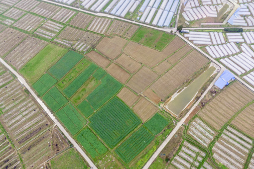 2024年壤塘县农业生产补助政策-摄图网