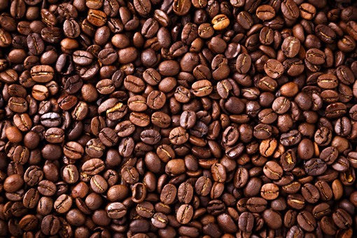 2024年海南定安县咖啡产业奖励政策：种植咖啡奖励多少？