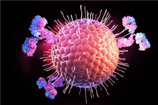 免疫球蛋白-摄图网