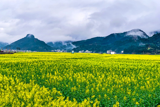 2024年贵州铜仁印江县家庭农场补助政策：补助条件有哪些？